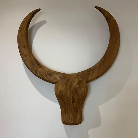 Appt Hyper Centre A 50 M De La 公寓