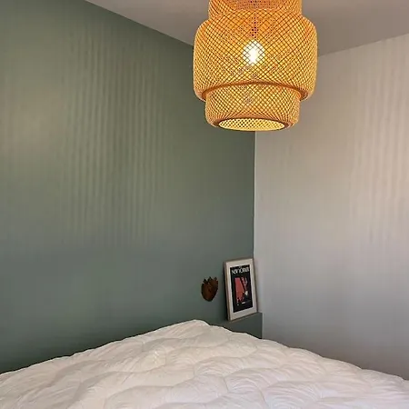 公寓 Appt Hyper Centre A 50 M De La *