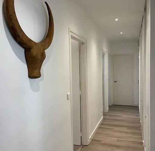 Appt Hyper Centre A 50 M De La 勒图凯－巴黎普拉日