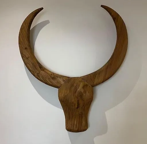 Appt Hyper Centre à 50 M De La Appartement